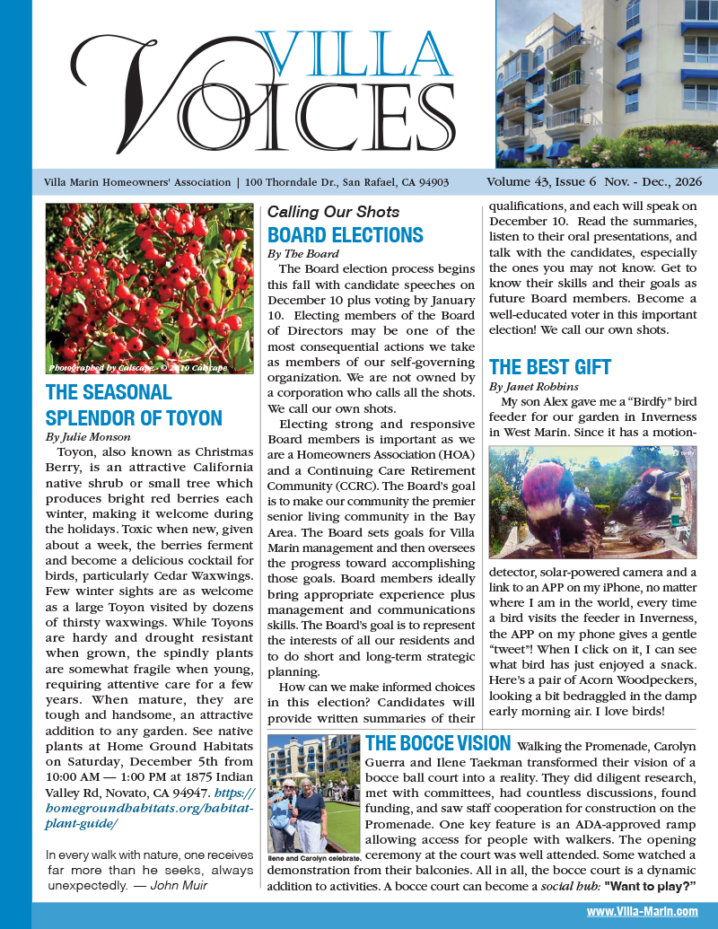 Villa Voices Newsletter - Click to download