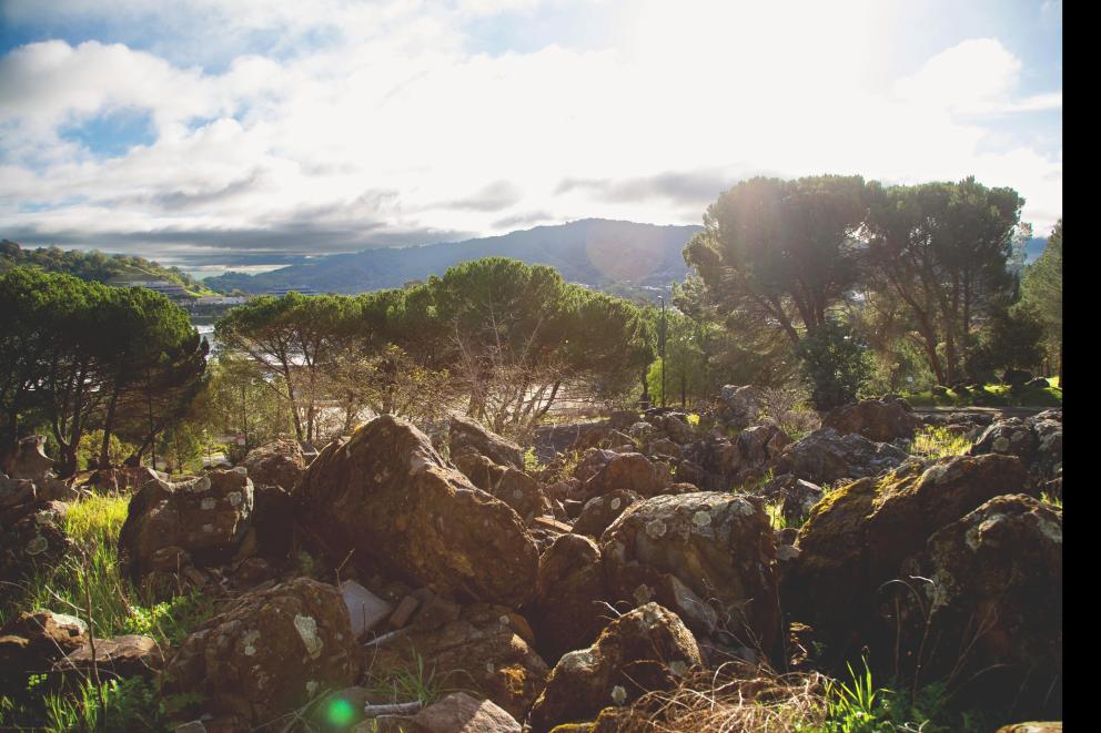 The Grounds #12