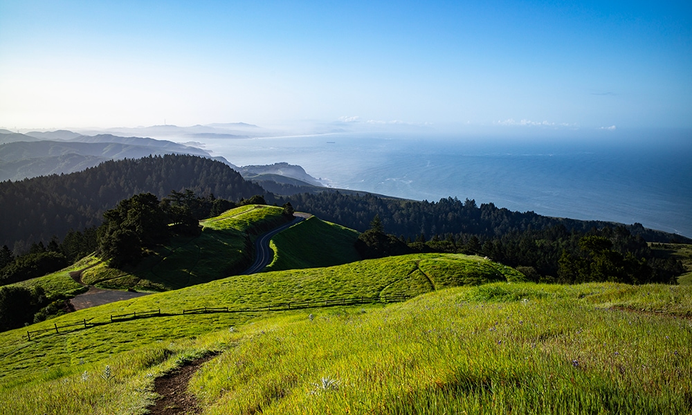 Hike The Trails Of Mt. Tamalpais